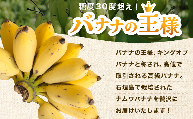 ≪2026年4～10月順次発送≫ 石垣島産 希少な国産『ナムワバナナ』を贅沢に1房丸ごと約1.5-2kg（12-20本）| 沖縄 石垣 バナナ フルーツ 果物 南国フルーツ 国産