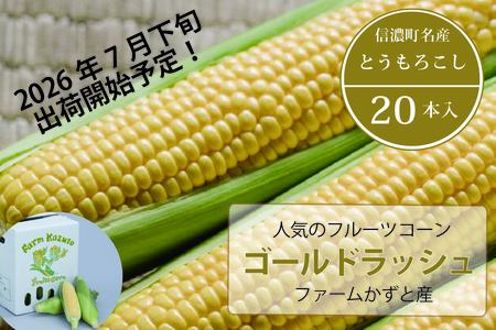 2026年夏のご予約受付開始！ 信濃町名産とうもろこし『ファームかずとのゴールドラッシュ 20本セット』粒皮が薄く生でも食べられる、フルーツを凌ぐほどの甘いとうもろこし 朝採れを農場から直送　令和8年7月下旬～8月下旬出荷分 先行予約【長野県信濃町ふるさと納税】