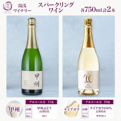 ふるさと納税 湯浅町 スパークリングワイン2種セット ナイアガラ 甲州 750ml 各1本 計2本 果実酒 湯浅ワイナリー |  | 03