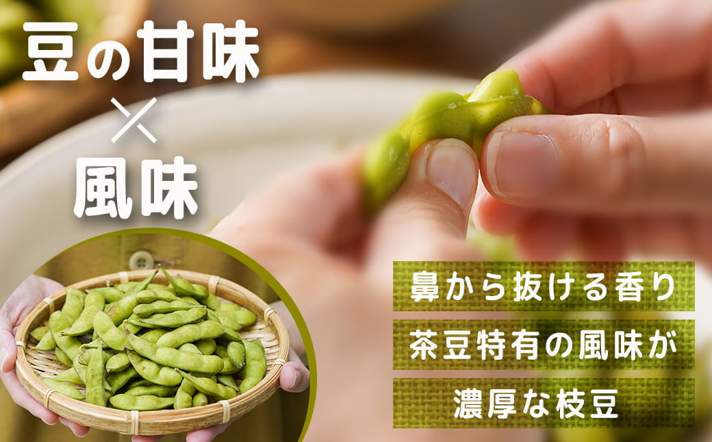 【先行受付】都城産枝豆(湯あがり娘)1.5kg(250g×6P)_11-B402-7