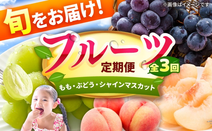 
                  フルーツ定期便【3回定期便】（桃/ぶどう/シャインマスカット）果物 くだもの ふるーつ フルーツ もも モモ ブドウ 葡萄 黒ぶどう 黒ブドウ 巨峰 種無し ピオーネ ぴおーね きょほう シャインマスカット しゃいんますかっと ますかっと デザート すいーつ スイーツ 定期 定期便 旬 fruit budou momo 広川町 / JAふくおか八女農産物直売所どろや [AFAB090]
                