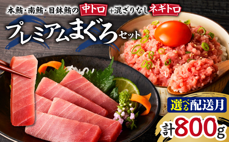 ＜選べる配送月＞まぐろ専門店 湊魚問屋プレミアムまぐろセット　M005-056