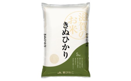 キヌヒカリ 白米 10kg 令和7年産 甲良米 キヌヒカリ