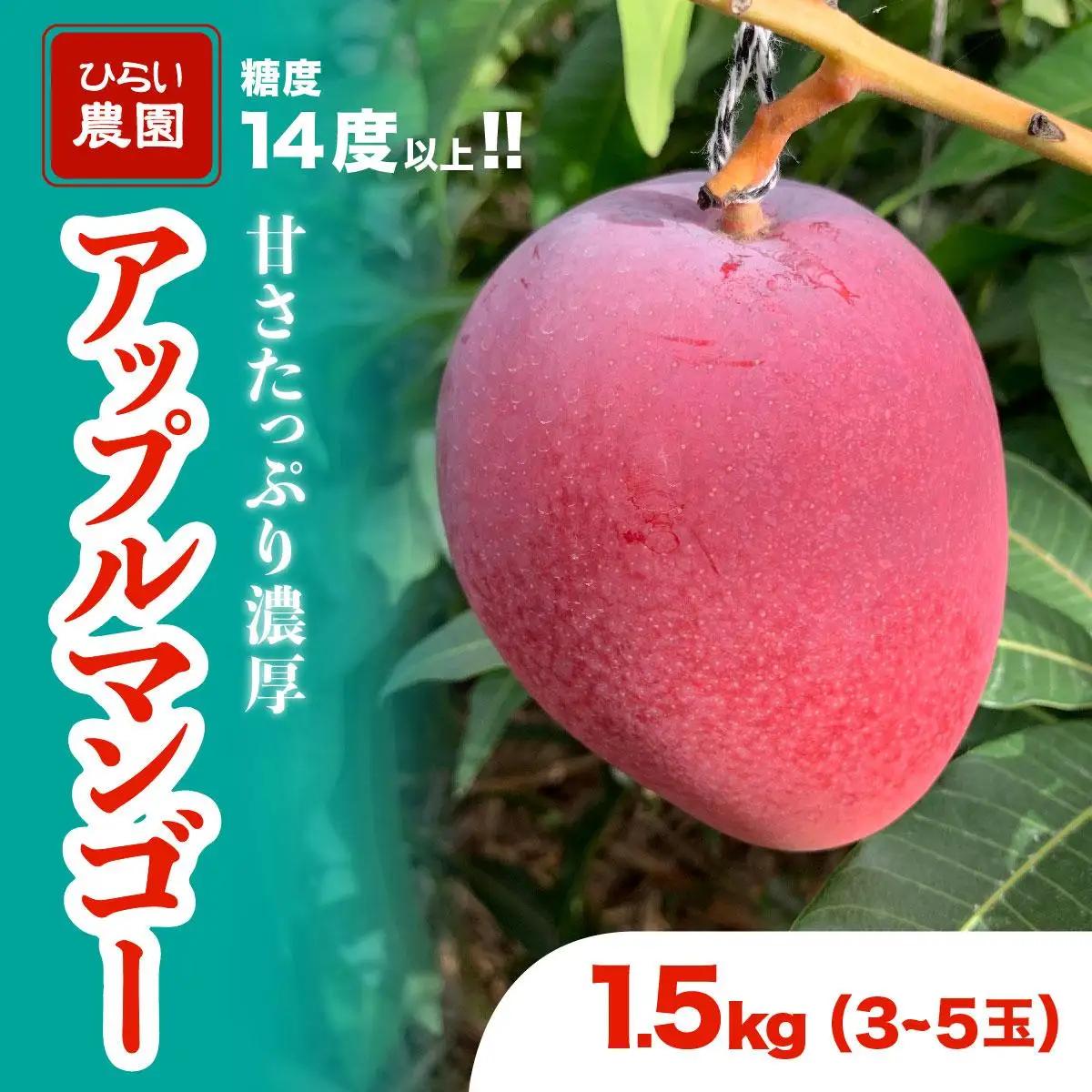 【2027年 先行予約】アップルマンゴー 約1.5kg 