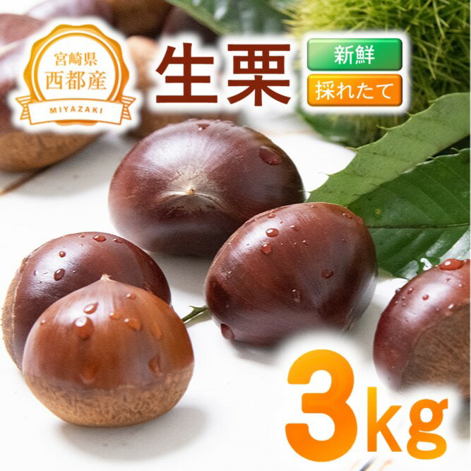 【ふるさと納税】新鮮「生栗」3kg 国産 宮崎県 西都市 くり＜1.4-23＞