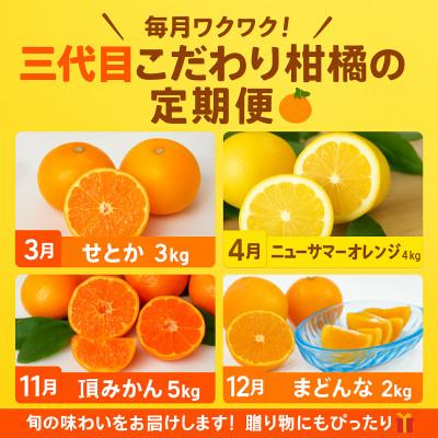 ふるさと納税 八幡浜市 【発送月固定定期便】柑橘【みかん・まどんな・せとか・ニューサマーオレンジ】【H31-46】全4回