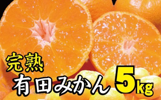 
【2022年冬頃発送予約分】＼光センサー選別／ 【農家直送】完熟有田みかん 約5kg 有機質肥料100%　 サイズ混合　※2022年12月上旬～2023年1月下旬に順次発送予定（お届け日指定不可）
