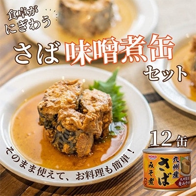 【毎月定期便】さば味噌煮缶セット(12缶)全6回【配送不可地域：離島】【4082370】
