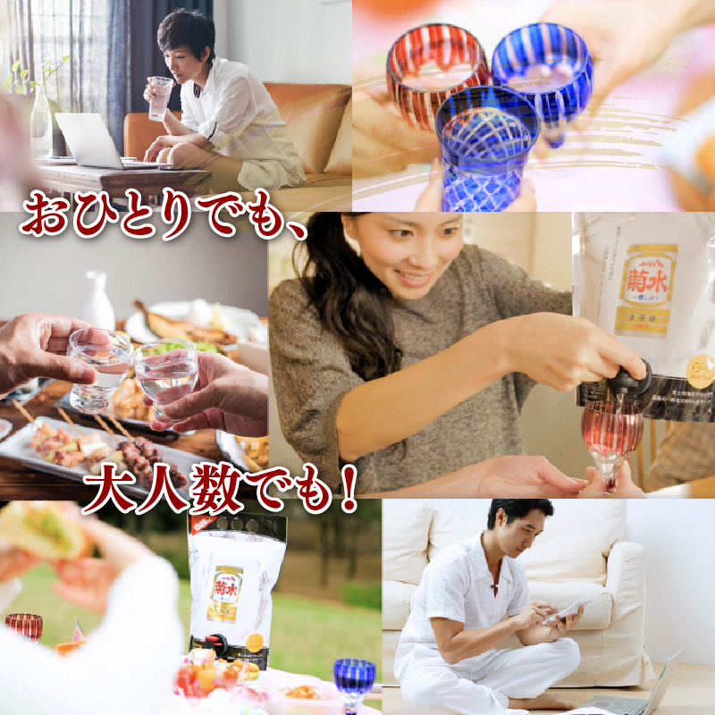 日本酒 菊水 ふなぐち スマートパウチ 1.5L×6本 ｜ 酒 一番しぼり 生原酒 簡単 便利 晩酌 パーティー 飲み アルコール 人気 おすすめ 新潟県 新発田市 E113_01