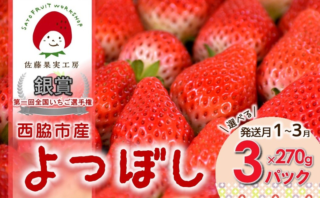 
                  《2027年産先行予約》「西脇市産 佐藤果実工房のよつぼし」（約270g×３パック 約810g）【佐藤果実工房 全国いちご選手権銀賞受賞農園 TVで紹介!】
                