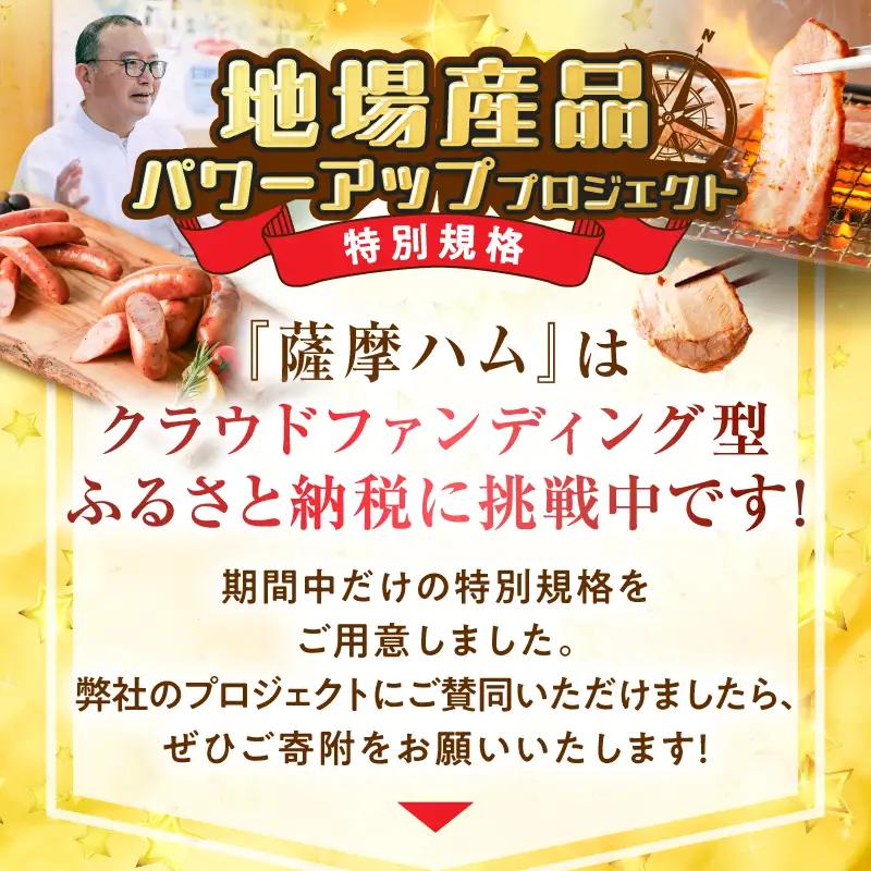 【 訳あり 】 【 全7回 】盛りだくさん 定期便（ 偶数月にお届け ） K161-T06e 肉 豚肉 冷凍
