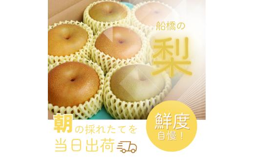 D031-2026 【家庭用】果汁たっぷりの極上梨「あきづき・3kg」（2026年産）