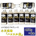 【ふるさと納税】米 小川直也 ハッスル 特別栽培米 176小川直也プロデュース・小川道場「ハッスル米」450g×8本 令和6年産