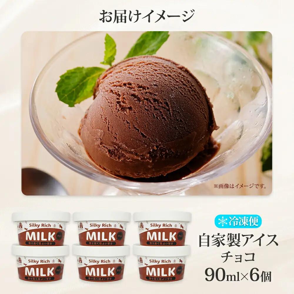 牧之瀬牧場 自家製アイス チョコ 90ml 6個 アイス 氷菓子 チョコ味 チョコレート フレーバー 牧場 手作り セット おやつ デザート スイーツ 冷凍 ギフト 送料無料 北海道 弟子屈町 322