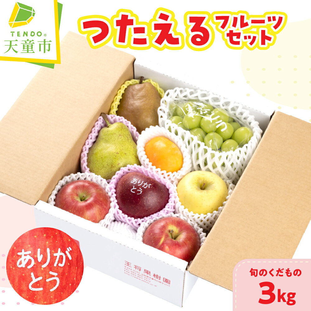 【ふるさと納税】 つたえる フルーツ セット 3kg 詰め合わせ 桃 もも ラフランス 洋ナシ 林檎 ぶどう 果物 くだもの セット 山形 のし 贈答 お礼 ありがとう お取り寄せグルメ 旬 産地直送 送料無料【 山形県 天童市 】