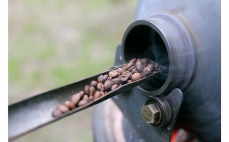 森のしずく 炭火焙煎珈琲 500g 飲料類 コーヒー 珈琲 コーヒー豆 珈琲豆