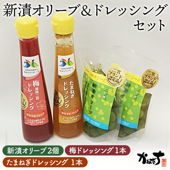 【ふるさと納税】No.075 新漬オリーブ＆ドレッシングセット【かねきち】 ／ グリーンオリーブ たまねぎドレッシング 梅ドレッシング 湘南 送料無料 神奈川県 特産品