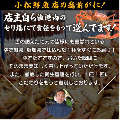 ふるさと納税 越前町 地元鮮魚店厳選 ≪浜茹で≫ 越前がに 中サイズ 2杯【3月発送分】 |  | 01