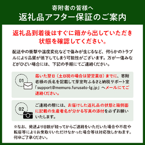 【先行予約】【2025年産】北海道十勝芽室町 とうもろこし バイカラー ドルチェドリーム 10本 とうもろこし トウモロコシ 北海道 十勝 芽室町 生 野菜 人気 キャンプ飯 BBQ ソロキャン お取