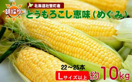 ＜2026年8月下旬よりお届け＞【朝採り】北海道壮瞥町産　とうもろこし恵味（めぐみ）Lサイズ以上約10kg（22〜25本） SBTL013