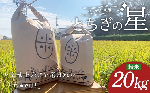 とちぎの星 お米 20kg 米 こめ 食品 農家 贈答 贈り物 ギフト プレゼント 家庭 自宅 栃木県 足利市 F7Z-2503