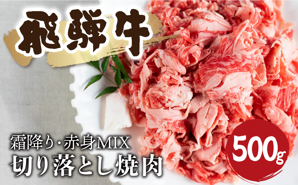 
                  ＜8月から寄附額改定＞【訳あり】飛騨牛 霜降り 赤身 ミックス 切り落とし 焼肉 500g 訳あり 訳アリ わけあり ワケアリ 不揃い 焼き肉 牛肉 和牛 バラ モモ カタ 飛騨市  18000円
                