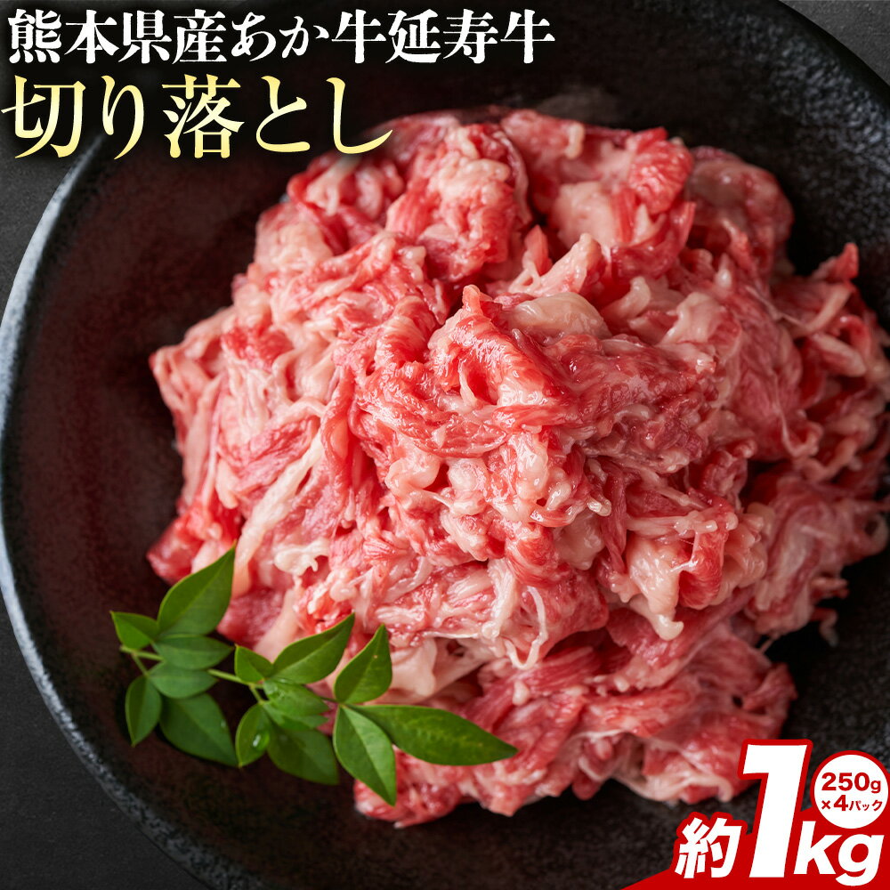 【ふるさと納税】熊本県産 あか牛 「-延寿牛-」 切り落とし 約1kg 株式会社ワンエイト《30日以内に出荷予定(土日祝除く)》熊本県 苓北町 延寿牛 牛肉 切り落とし【配送不可地域あり】