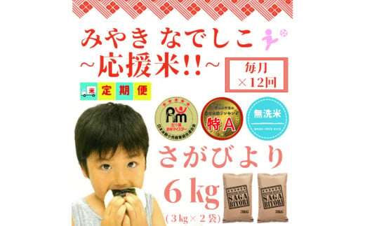 CI700【みやきなでしこ】応援米【１２回定期便】【無洗米】さがびより６kg（３kg×２袋）佐賀県産 精米 女子サッカー応援