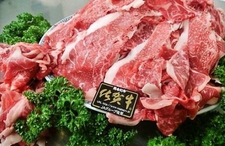 ｂ－４７　昭和２１年創業の老舗名店プロデュース！佐賀牛切り落とし６００ｇ