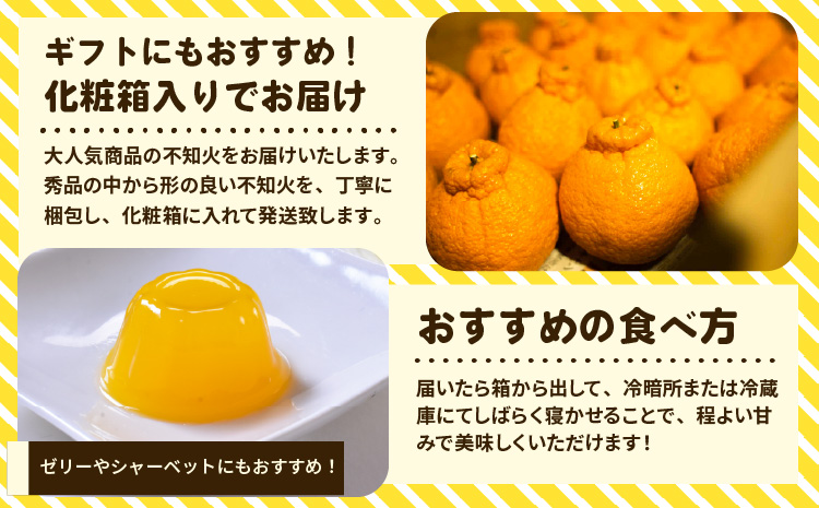 宇城市産 完熟不知火(化粧箱入り) 約3kg 高橋果樹園【2026年2月上旬から3月下旬発送予定】不知火 柑橘 果物 フルーツ かんきつ