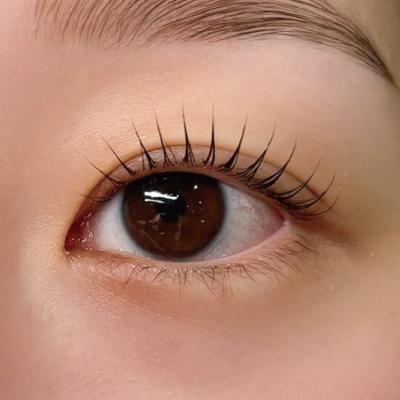 ふるさと納税 明和町 まつ毛 パーマ 体験チケット　HOLInail+eyelash |  | 01