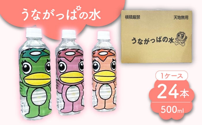 
うながっぱの水 1ケース（ 500ml ペットボトル × 24本 ） 1 多治見市 /多治見市観光協会 ミネラルウォーター 備蓄 [TAQ006]
