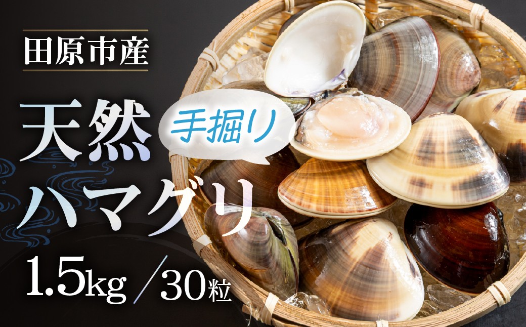 
                  天然手掘りハマグリ 砂抜き不要 天然ハマグリ 手掘り はまぐり ハマグリ 蛤 天然 ダシ 出汁 お吸い物 酒蒸し 焼ハマグリ 魚介 海産物 国産 アサリ 愛知県 田原市 新鮮 砂抜き 海鮮 魚介類 魚介 貝 人気
                