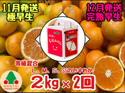 定期便 11・12月発送 有田みかん 2種 食べくらべ 極早生 ＆ 完熟早生 2kg 和歌山 みかん 南泰園 全2回