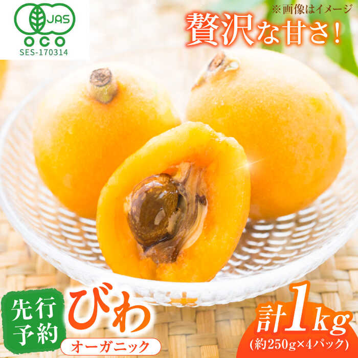 【ふるさと納税】【★先行予約★ 2025年5月以降発送】びわ 約250g(4〜7個)×4パック ビワ 枇杷 果物 くだもの 広川町 / JAふくおか八女農産物直売所どろや[AFAB002]