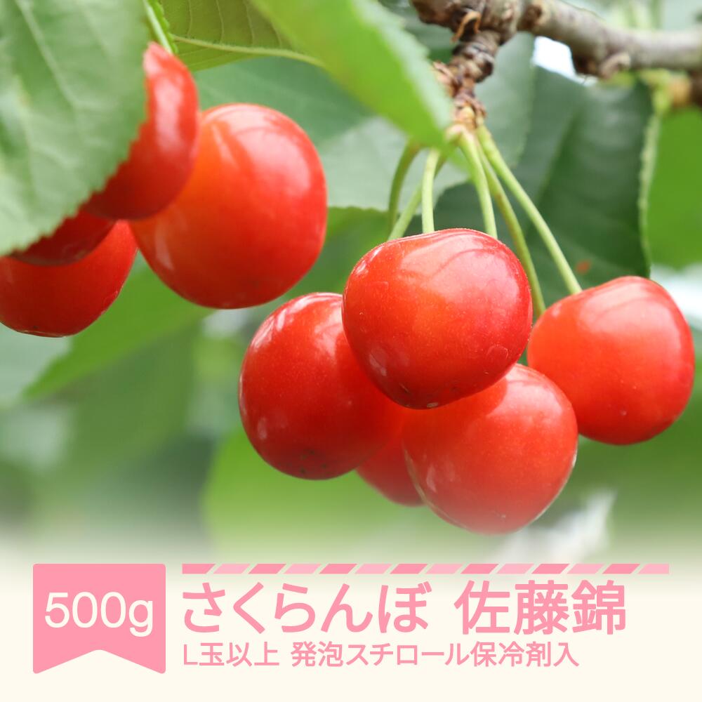 【ふるさと納税】【先行予約】さくらんぼ 佐藤錦 2026年産 令和8年産 500g L玉以上 発泡スチロール保冷剤入 送料無料 ※沖縄・離島への配送不可 mo-snhax500