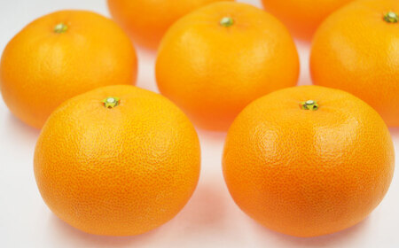 先行予約 訳あり せとか 3kg ハウス栽培 みかん 蜜柑 ブランドせとか 訳ありせとか 柑橘せとか 美味しいせとか 愛媛県 愛南町 豊田農園 【せとか】