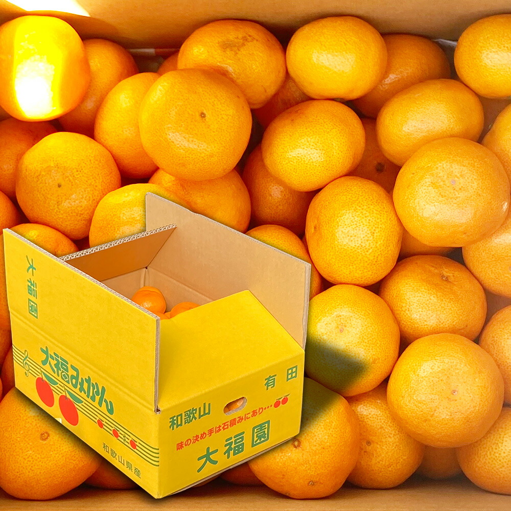 BT6011n_【2025年先行予約】和歌山県有田産 みかん 5kg　L～Sサイズ（おまかせ）
