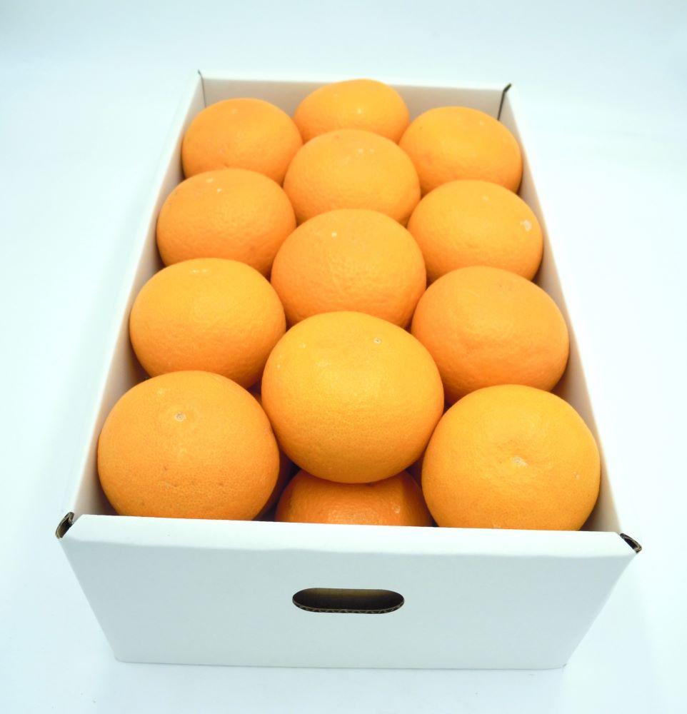 田口の清見オレンジ 秀品　5kg　L～３L（30玉～18玉）化粧箱入り サイズおまかせ【2025／2／26～2025／3／31 順次発送】