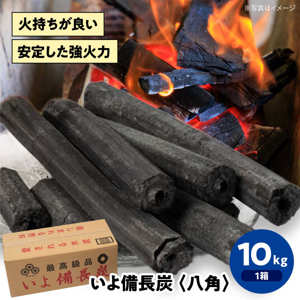 【ふるさと納税】「いよ備長炭　八角」10kg　愛媛県大洲市/ミスタースミス 備長炭 オガ炭 炭 炭焼き 炭火 脱臭 除湿[AGAK002]