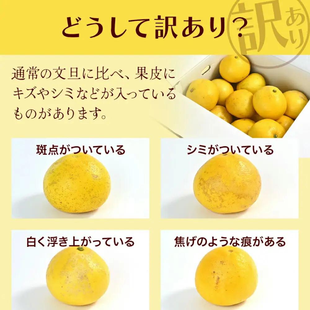 【先行予約】高知県産 訳あり 土佐文旦 約5kg 〈2027年1月下旬頃から発送〉文旦 傷 文旦 シミの訳あり文旦 大容量 ぶんたん 文旦 訳あり わけあり 果物 【株式会社　四国健商】[ATAF14