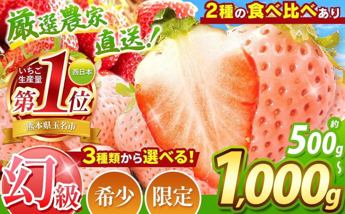 
            イチゴ 生産量 西 日本一 ！ 厳選農家直送 選べる 3種 食べ比べあり いちご 500g or 1000g | ゆうべに 肥後こまち 高糖度 イチゴ フルーツ 果物 苺 いちご 白 いちご 淡雪 高級 いちご 産地直送 いちご いちご 好きのための いちご 甘い いちご 贈答 いちご 熊本県 玉名市
          