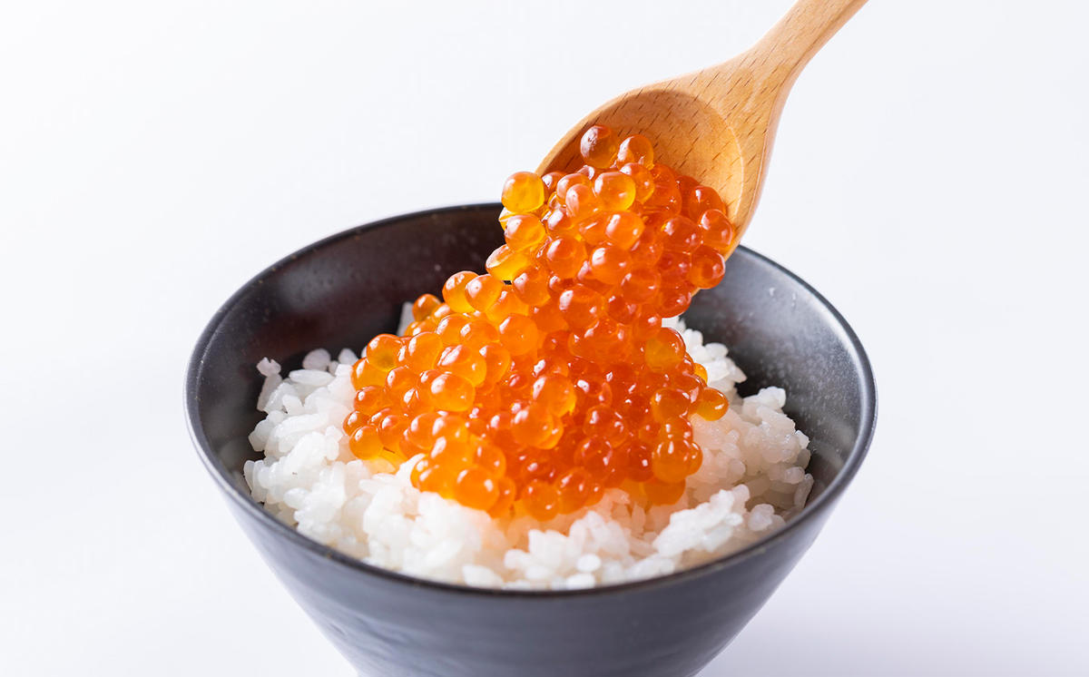 北海道 日高産 いくら 醤油漬 500g ( 250g × 2パック )