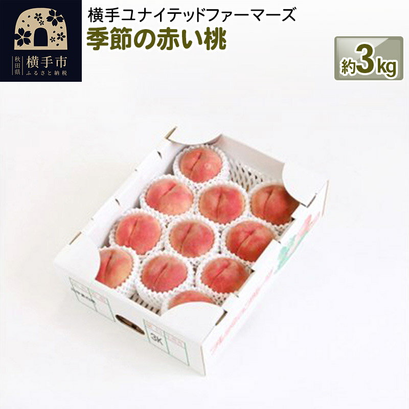 【ふるさと納税】8月上旬より発送 季節の赤い桃 約3kg（あかつき、川中島白桃、伊達白桃、幸茜）