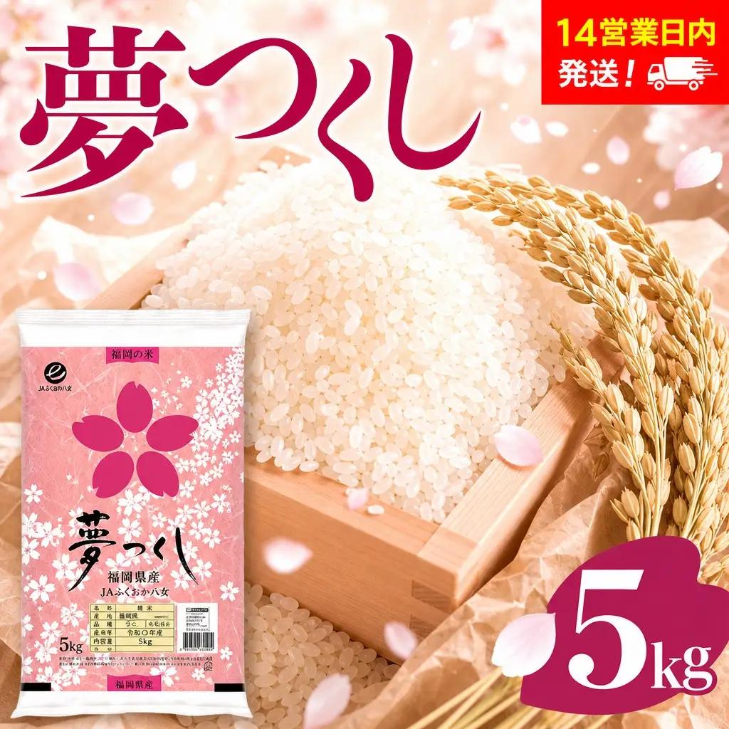 米 福岡県産米 夢つくし 5kg【スピード発送】CY008