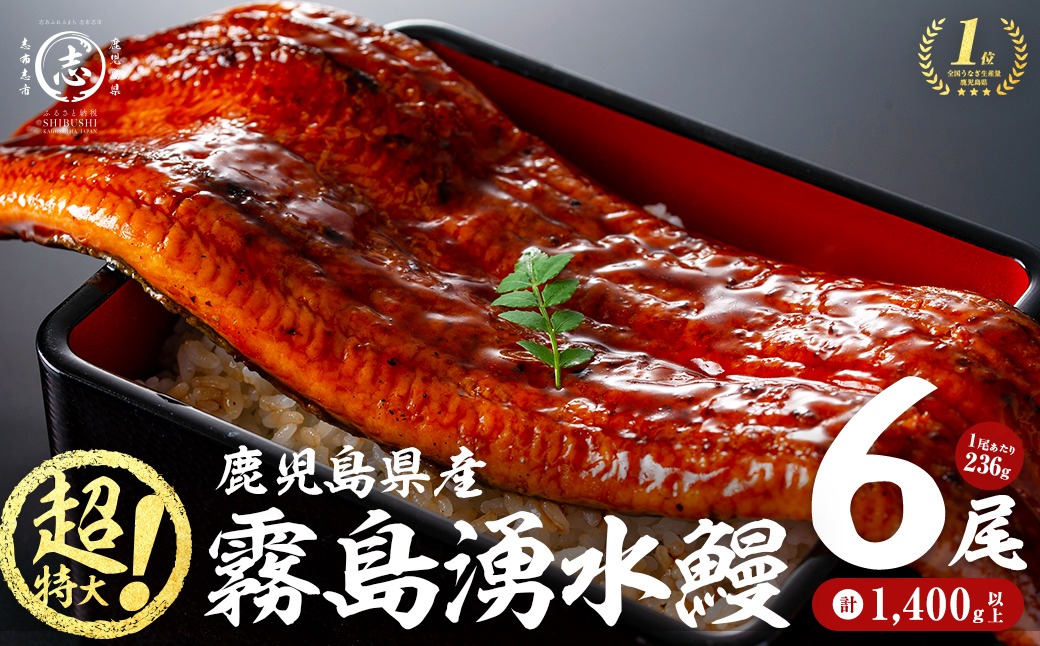 【数量限定】超特大！鹿児島県産 山田水産の霧島湧水鰻(計1400g以上・236g以上×6尾) c5-039-yy