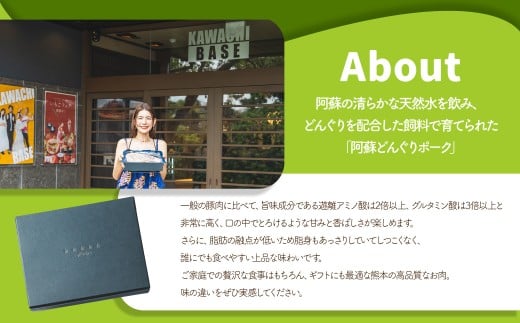 スザンヌ厳選！ 「阿蘇どんぐりポーク」 ハムギフトセット （ウィンナー ・ ベーコン ・ ボンレスハム） ／ どんぐりポーク 粗挽きウィンナー チーズ チョリソー 豚肉 お肉 肉 スザンヌ 九州 熊本