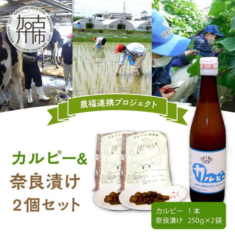 【ふるさと納税】「農(学)福連携プロジェクト」カルピー＆奈良漬け2個セット