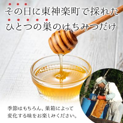 ふるさと納税 東神楽町 【定期便・頒布会】3ヵ月連続お届け!東神楽産採れたまんまの純粋はちみつ 240g |  | 01