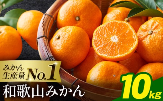 和歌山みかん 約10kg 和歌山県産 《2026年11月中旬‐2027年1月中旬頃出荷(土日祝除く)》たっぷり ご家庭用 2L～2S 産地直送 みかん 旬 蜜柑 ミカン 柑橘 果物 フルーツ 和歌山県 岩出市 【訳あり/サイズ不選別】